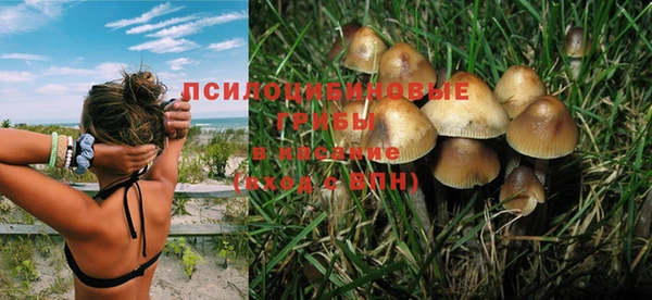 гашик Остров