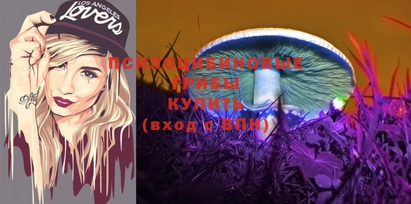 гашик Абинск