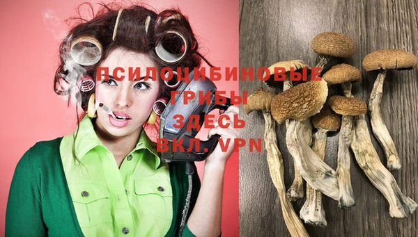 гашик Абдулино
