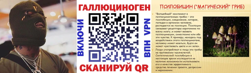 Галлюциногенные грибы Psilocybe  хочу   Тында 