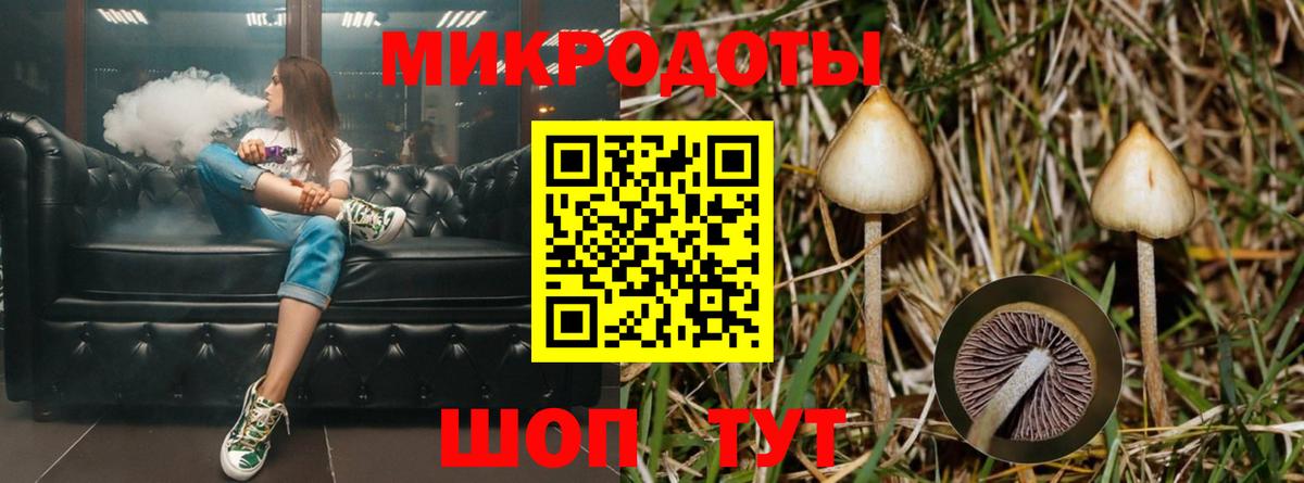 магазин  наркотиков  Вход с VPN  Галлюциногенные грибы прущие грибы  Тында  Галлюциногенные грибы ЛСД 